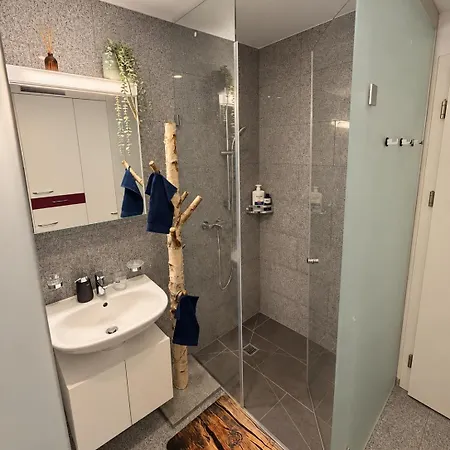 Apartment Laax Bike I Wandern I Board I I Parkplatz Flims